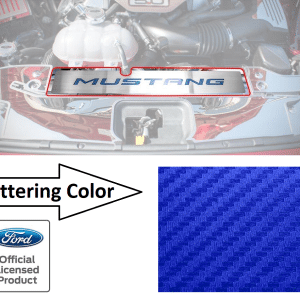 Stainless Radiator Cover Plate Blue Carbon Fiber Letters for 2015-17 Mustang GT - GoodSpeedUSA