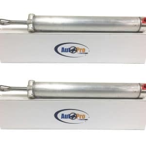 Pair Convertible Top Hydraulic Cylinders For 1965-70 GM Full Size Passenger Cars - GoodSpeedUSA