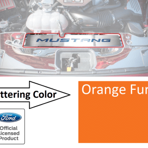 Stainless Steel Radiator Cover Plate Orange Fury Letters - 2015-2017 Mustang GT - GoodSpeedUSA