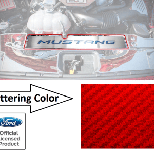 Stainless Radiator Cover Plate Red Carbon Fiber Letters - 2015-2017 Mustang GT - GoodSpeedUSA