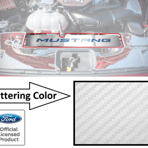 Stainless Radiator Cover Plate White Carbon Fiber Letters - 2015-17 Mustang GT - GoodSpeedUSA