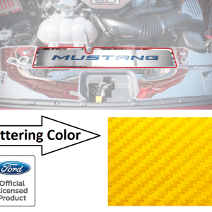 Stainless Radiator Cover Plate Yellow Carbon Fiber Letters - 2015-17 Mustang GT - GoodSpeedUSA